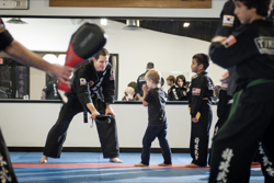 Master Chris teaching